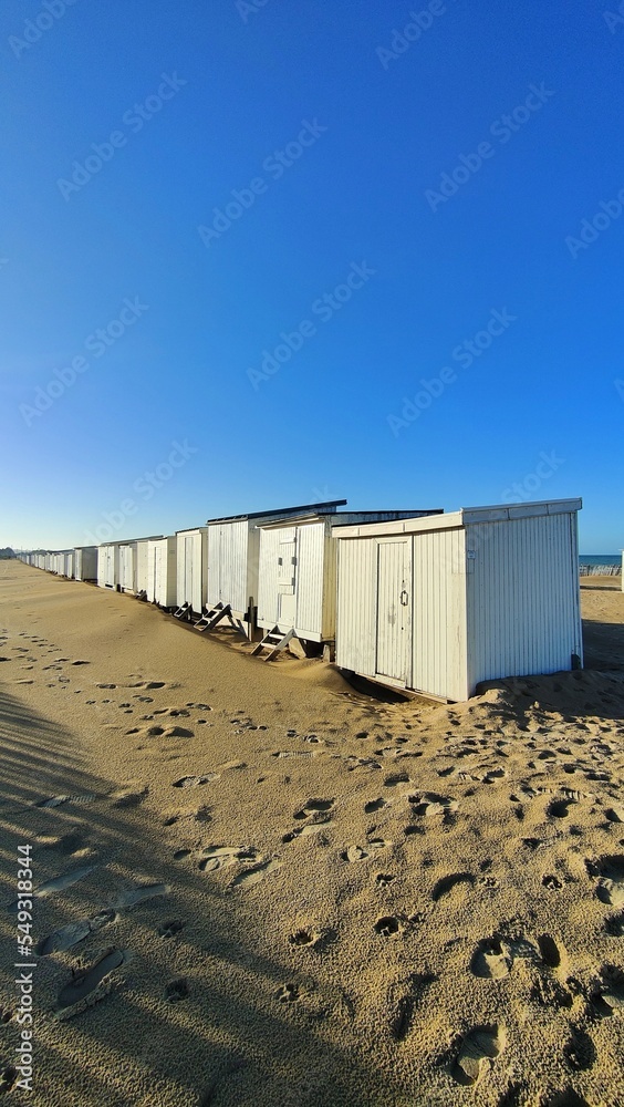 Naklejka premium CALAIS (Pas de Calais)