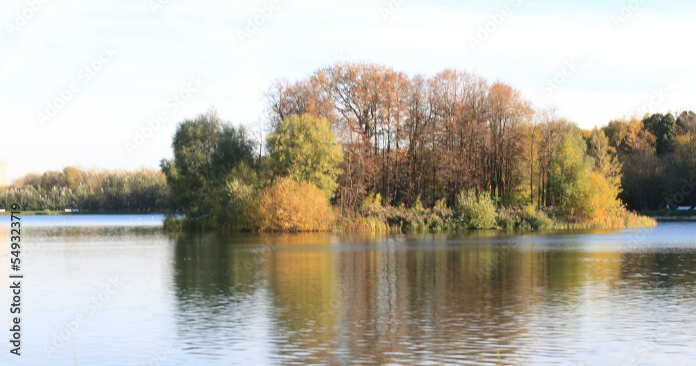 autumn in the park autumn in the park