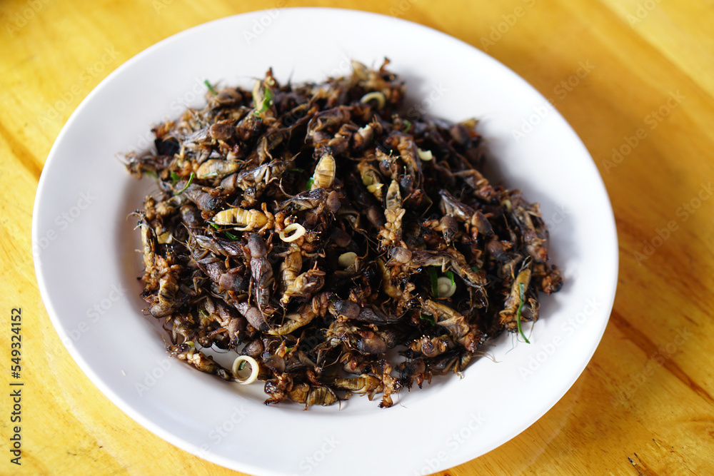 Mole crickets are fried to eat at parties. Mole crickets are fried to eat at parties.