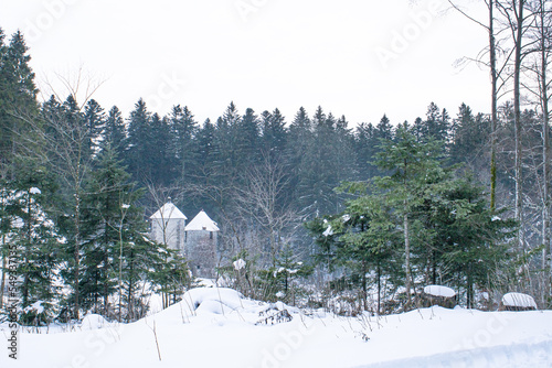 Remains of medieval hunting lodge at Mašun (Masun) in the middle of forest, Snežnik (Sneznik), Slovenia photo