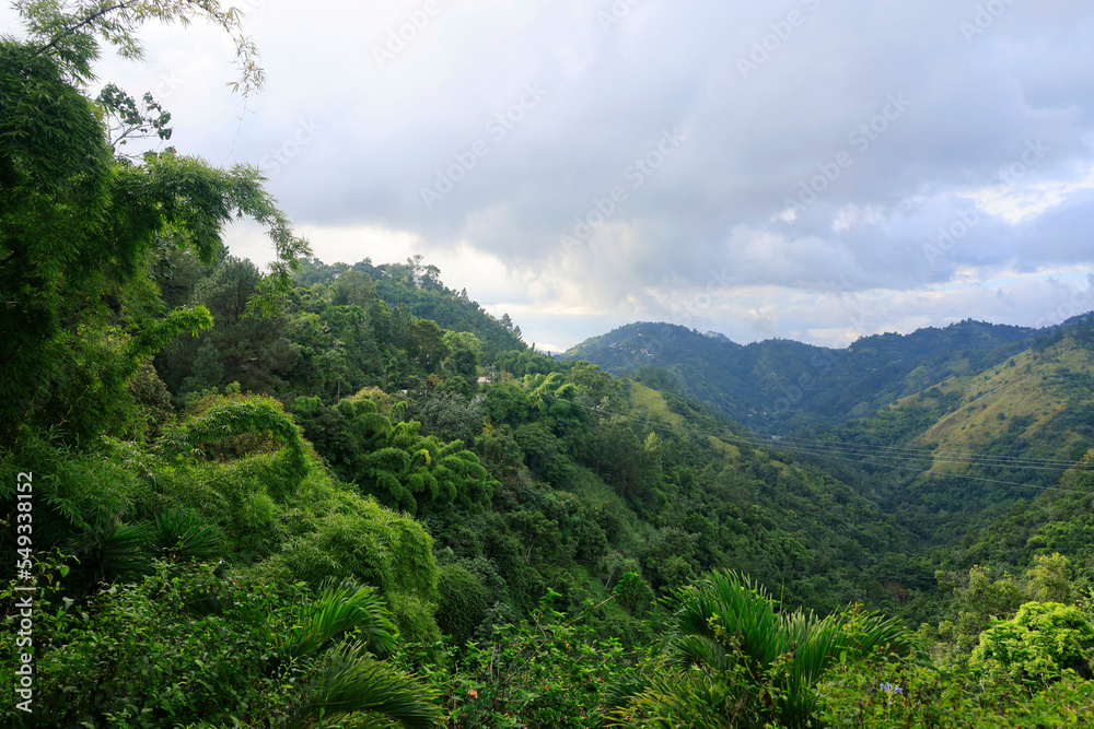 The Blue Mountains in Jamaica, Caribbean, Middle America