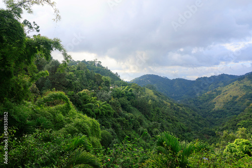 The Blue Mountains in Jamaica, Caribbean, Middle America