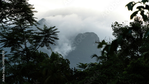 Montanha envolta em nuvens e floresta úmida em primeiro plano © MarioSergio