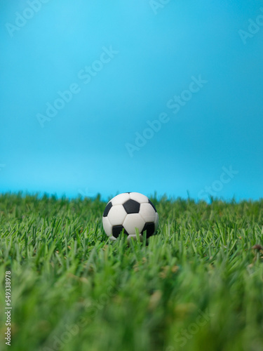 A ball is in the middle of a field with a blue background