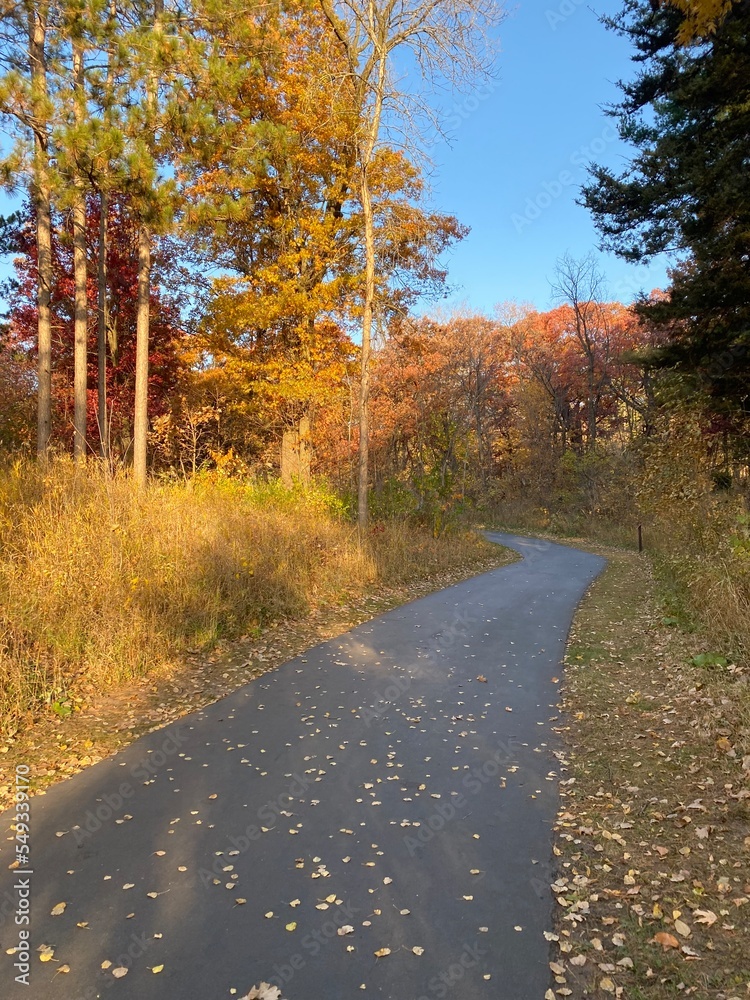 Obraz premium The Path