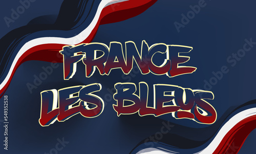 france les bleus world football championship banner
