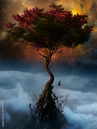 Tree above the clouds