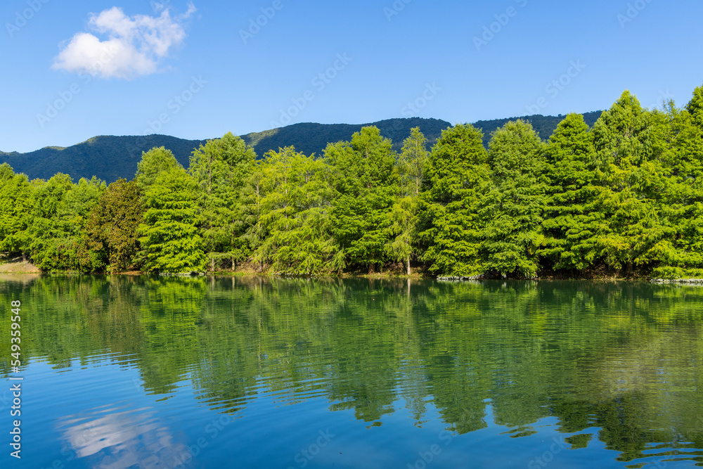 Beautiful lake with green tree reflection in Hualien County of Taiwan Beautiful lake with green tree reflection in Hualien County of Taiwan