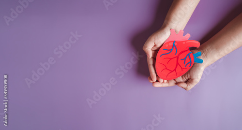 Obraz na płótnie hands holding heart organ paper cut, heart anatomy, heart attack, heart disease, Female with health care and Healthy feminine concept
