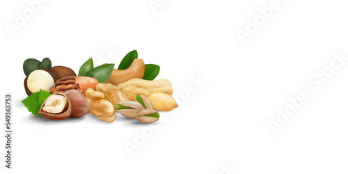 Vector banner with realistic nuts. Banner with place for text