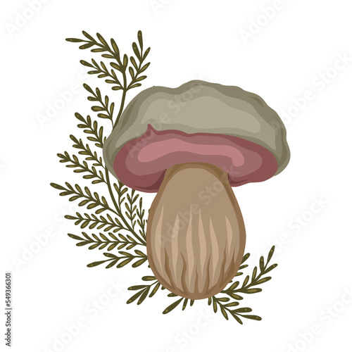 Illustration of cartoon poisonous mushroom with fern stems on white background. Vector forest boletus with herbal decoration.