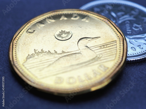 1 Canadian dollar. Fragment of textured coin close-up. Illustration on the theme of economics or banking. Coins and money of Canada. News about the exchange rate or inflation