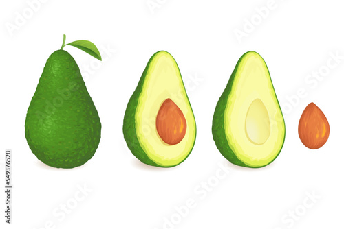 Avocado isolated on white background