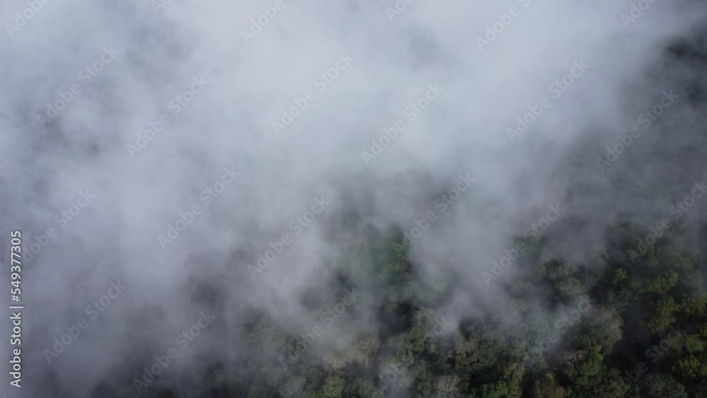 Aerial view of tropical forest with mist in the morning. Top view from drone of beautiful mountain tropical forest during winter in Thailand. Natural landscape background. Aerial view of tropical forest with mist in the morning. Top view from drone of beautiful mountain tropical forest during winter in Thailand. Natural landscape background.