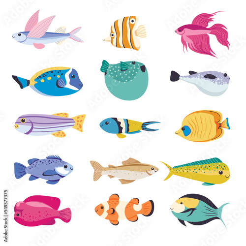 Fish types for aquarium, tropical species vector