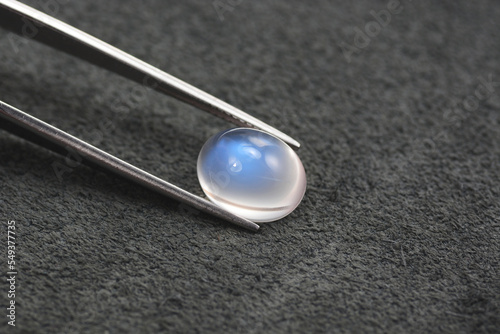 Natural adularia blue sheen oval shaped cabochon moonstone setting in tweezers. Loose gem on gray leather textured background. Feldspar mineral group. Semiprecious gemstone rare and expensive stone.