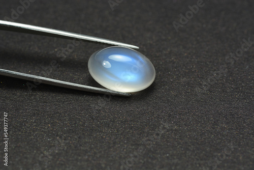 Natural adularia blue sheen oval shaped cabochon moonstone setting in tweezers. Loose gem on dark gray textured background. Feldspar mineral group. Semiprecious gemstone rare and expensive stone.