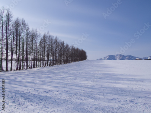 雪に覆われた大地 © ookinate23