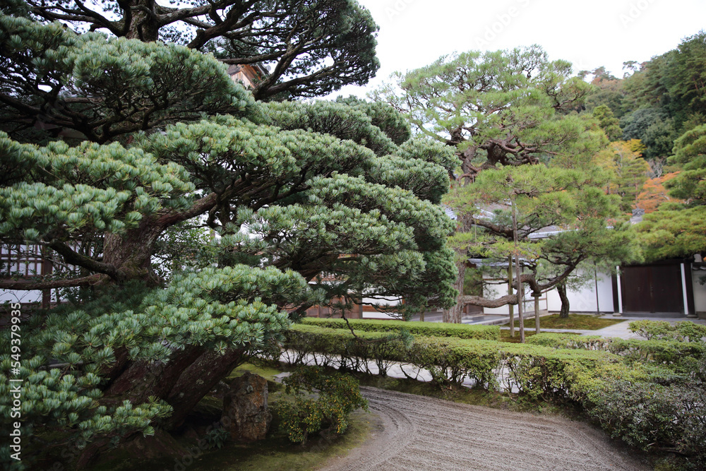 銀閣寺の庭園