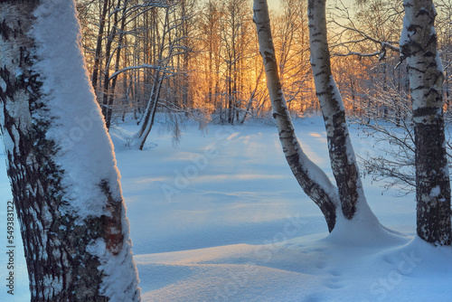 Winter evening in park: beams of sunset, europe, shadows, trees in snow. 