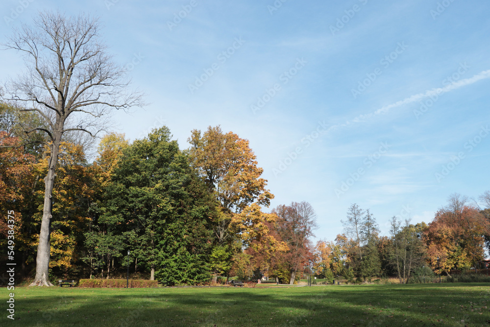 Picturesque view of park with beautiful trees and green grass on sunny day. Autumn season