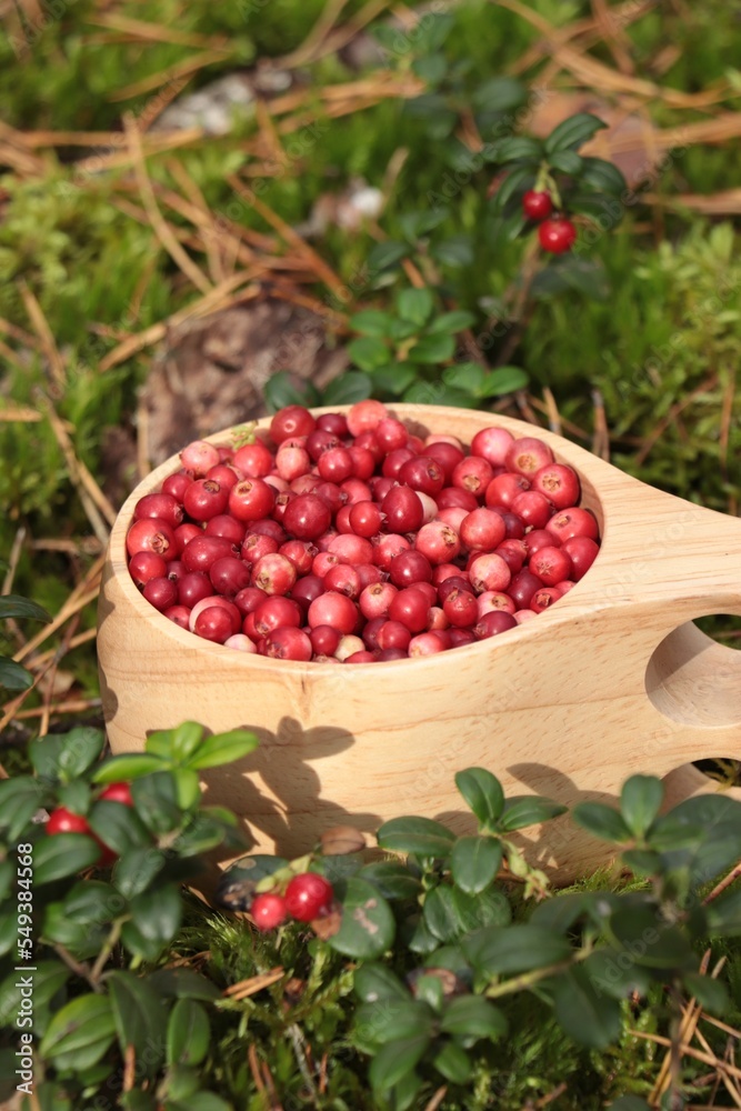 Many ripe lingonberries in wooden cup outdoors Many ripe lingonberries in wooden cup outdoors