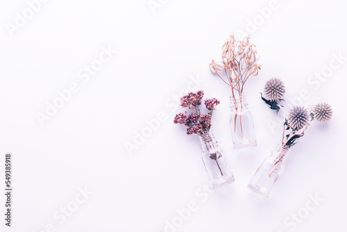 Bio herbal homeopathic medicine cosmetic arrangement, handmade cosmetic.