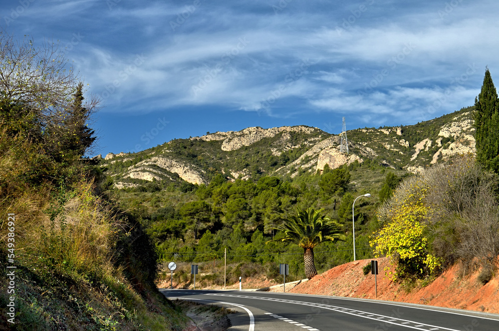 Fototapeta premium desde la cuneta