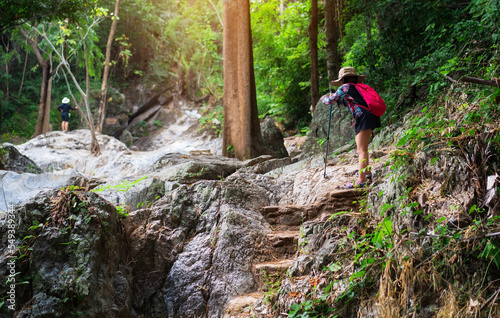asian child or kid girl carry backpack and hiking by walking pole or people trekking and camper camping in nature forest or natural wild jungle on holiday travel by adventure at lan sang national park