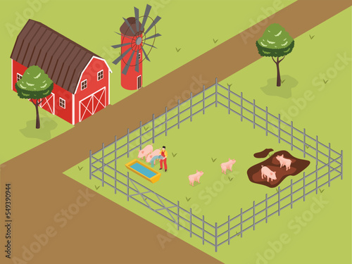 Farmer giving water to farm pig on the farm