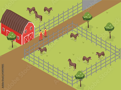 Farmers looking at the horses in farm