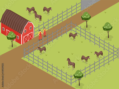 Farmers looking at the horses in farm