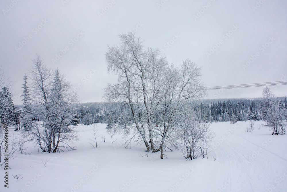 Obraz premium Hundfjället, sälen Sverige. Skiing winter escape 