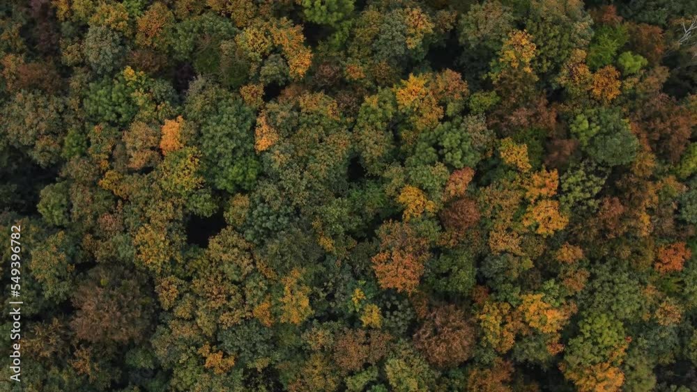Aerial view of the landscape playing with all the colours of the autumn season during a warm sunset. Deciduous trees playing in yellow, orange, red and green. Lungs of the earth. 4k video Aerial view of the landscape playing with all the colours of the autumn season during a warm sunset. Deciduous trees playing in yellow, orange, red and green. Lungs of the earth. 4k video