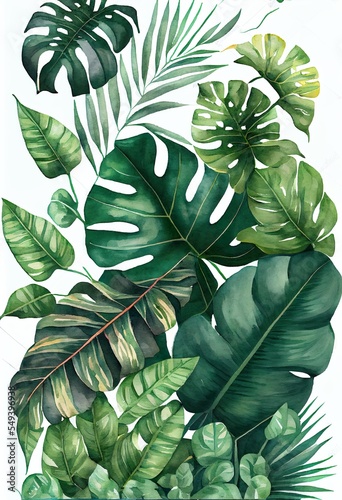 green tropical leaves on white, a group of green leaves, illustration with leaf plant
