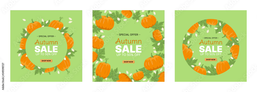 Set of autumn pumpkin frames with leaves and seeds. Flat, vector