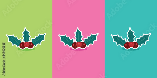 Vector illustration of the plant called the mistletoe plant for Christmas decoration on different colored background. Christmas template vector design with colors such as blue, green, red and pink.