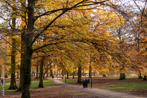 Bois de la Cambre in Brussels during autumn