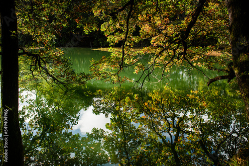 Fototapeta Naklejka Na Ścianę i Meble -  autumn in the park, Linacre Reservoirs