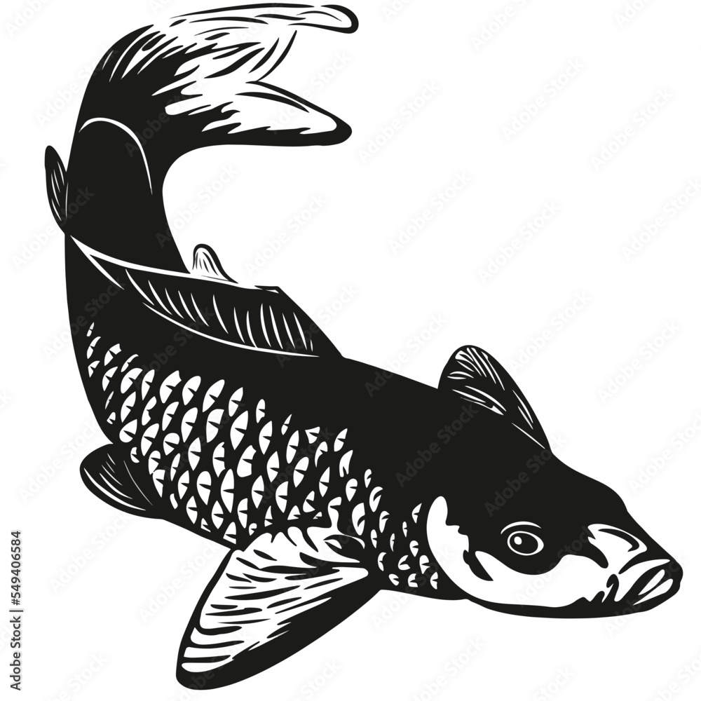 fish icons showing aquatic animals with various fins, scales, tail and