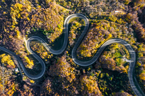 Winding road through the forest. Beautiful autumn landscape with winding road. Aerial drone shot. © resul