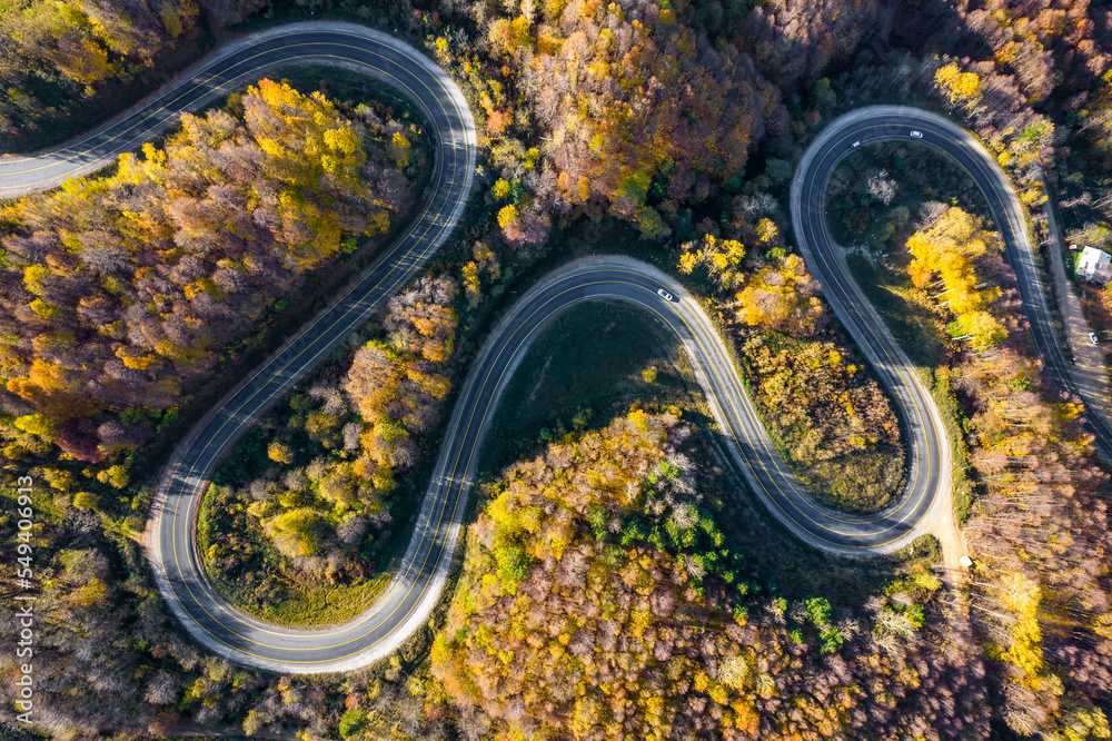 Winding road through the forest. Beautiful autumn landscape with winding road. Aerial drone shot.