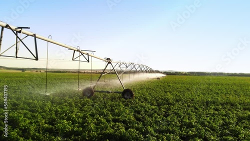 Aerial view pivot at work in potato field, watering crop for more growth. Center pivot system irrigation. Watering crop in field at farm. Modern irrigation system for land and vegetables growing on it