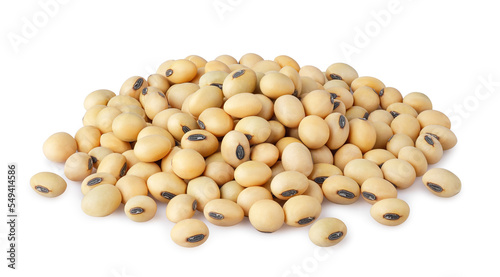 soybeans or soya heap isolated on white