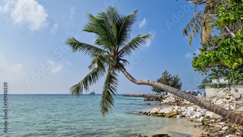 Ship and palm tree from Gulhi Island, Maldives  EmagaTravels  © Emaga Travels ✈️