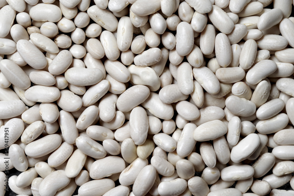 Healthy large raw husked white kidney beans scattered of evenly layer, view close-up
Healthy large raw husked white kidney beans scattered of evenly layer, view close-up