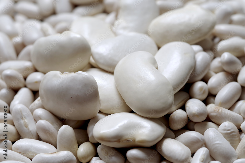 Healthy large raw husked white kidney beans scattered of evenly layer, view close-up

