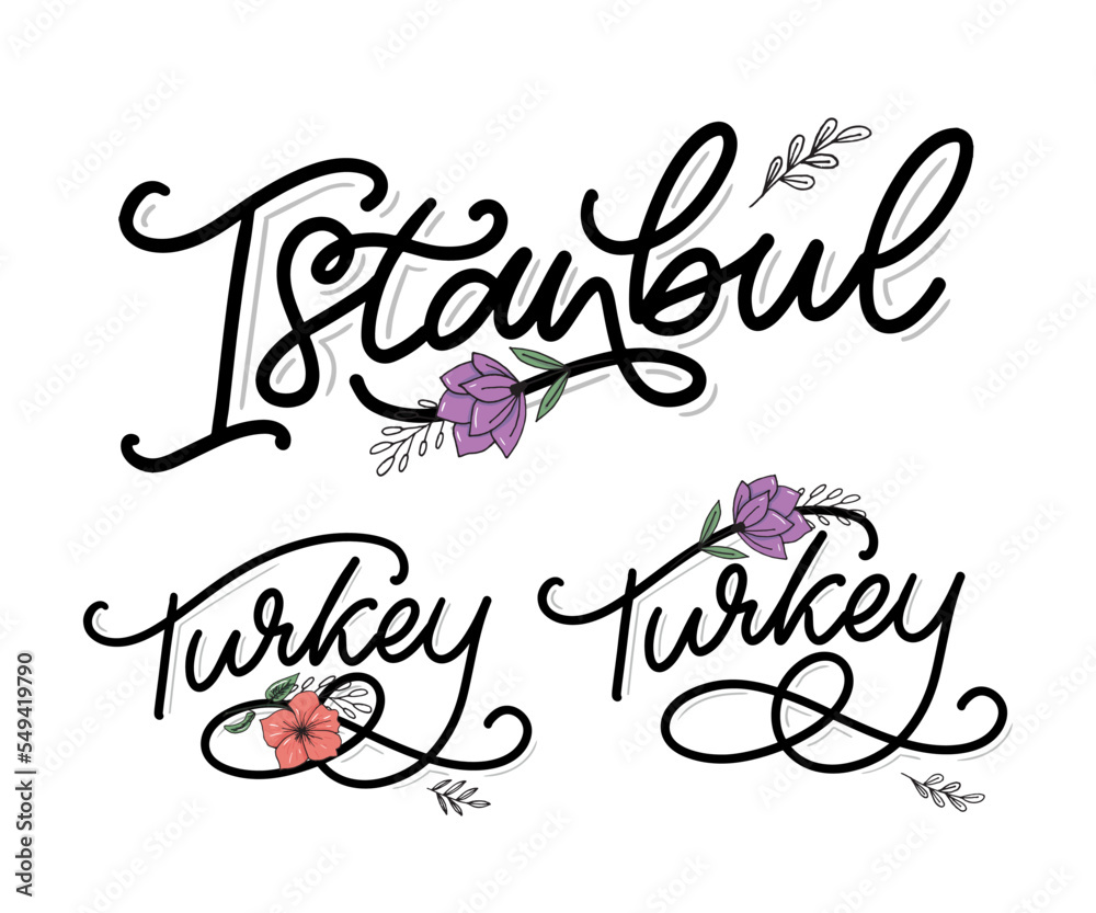 Fototapeta premium Istanbul. Hand lettering. Vector logo of Istanbul in black color with seagulls on white background. souvenir products, banner emblem, travel blog social media, brochure, flyer. Digital illustration.