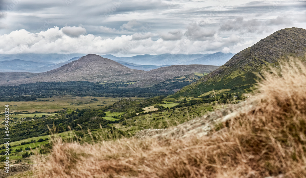 Bog and heather landscape in Conemara, County Galway, Republic of Ireland