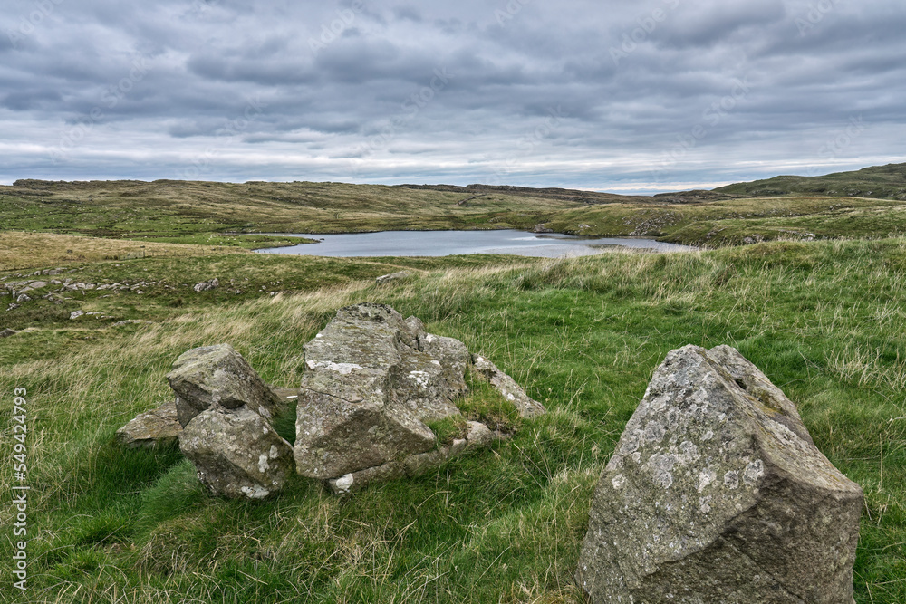 Green Pastures, devided by hedges and stone walls
in the Republic of Ireland
Green Pastures, devided by hedges and stone walls
in the Republic of Ireland